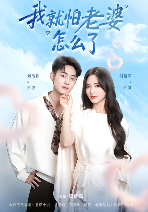 我就怕老婆怎么了（88集）全集我都看完了