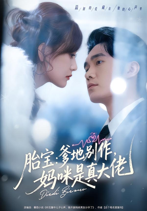 胎宝：爹地别作，妈咪是真大佬（60集）百度网盘资源