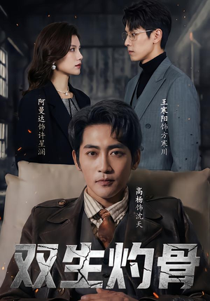 双生灼骨（60集）一个短剧看全集
