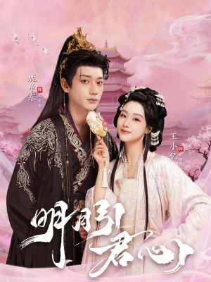 明月引君心（74集）精彩短剧片段