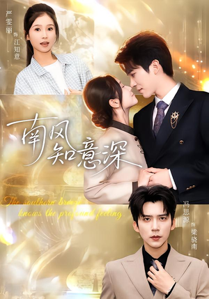 南风知意深（40集）免费短剧合集