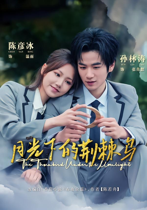 月光下的荆棘鸟（80集）短剧解说热门