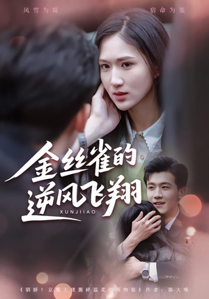 金丝雀的逆风飞翔（80集）恋爱短剧分享