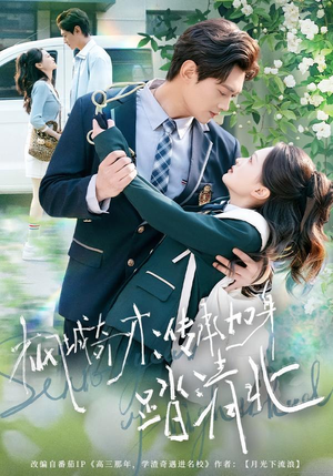 枫城奇才：传承加身踏清北（80集）短剧每日分享