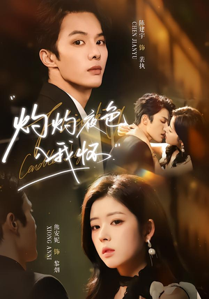 灼灼夜色入我怀（60集）看过的人都说好