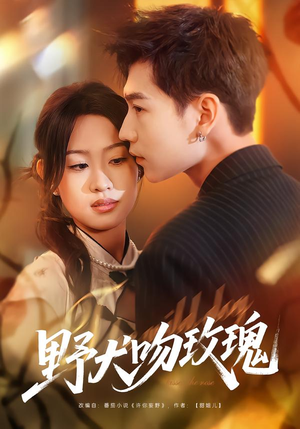 野犬吻玫瑰（70集）悬疑短剧推荐