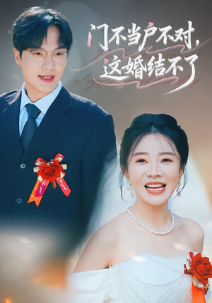 门不当户不对，这婚结不了（58集）火爆热门短剧