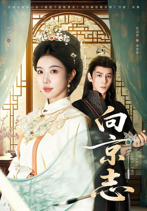 向京志（80集）免费看