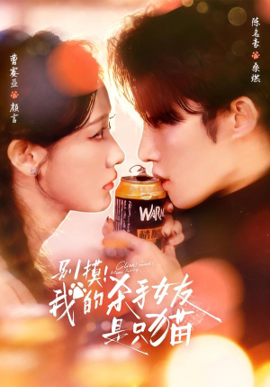 别摸！我的杀手女友是只猫（60集）我全都看完了