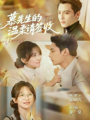 慕先生的温柔请签收（90集）百度网盘资源