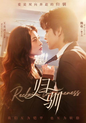 归驯（82集）短剧解说全集