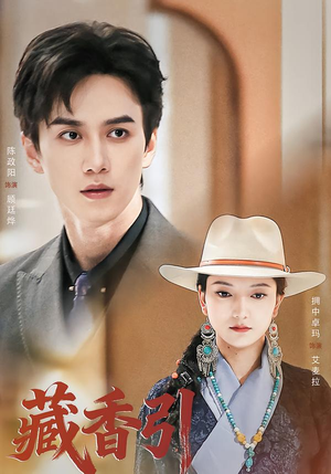 藏香引（63集）在线免费观看