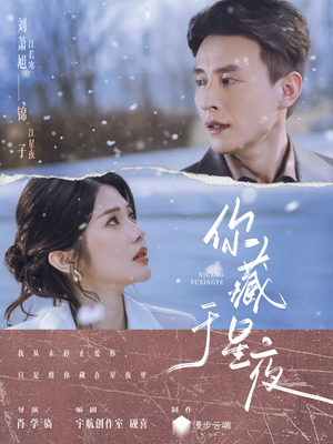 你藏于星夜（85集）热播短剧全集看