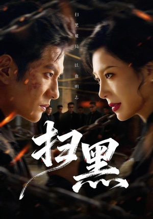 扫黑（70集）每日短剧追不停