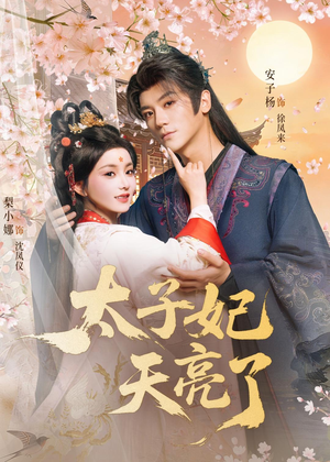 太子妃天亮了（80集）免费短剧完整版