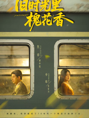 旧时光里槐花香（70集）一共多少集