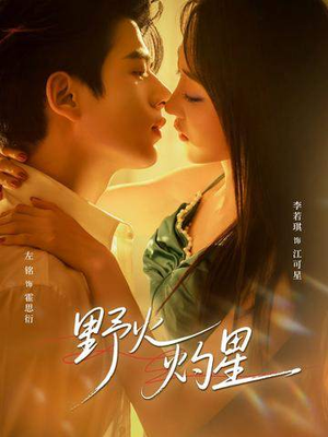 野火灼星（56集）免费看短剧