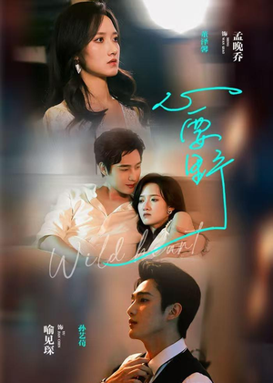 心要野（62集）短剧小说在线看