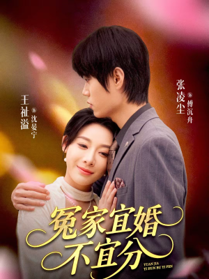冤家宜婚不宜分（80集）热门了短剧