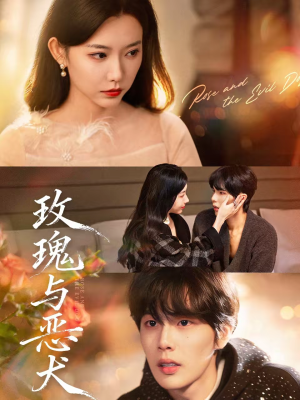 玫瑰与恶犬（80集）全集一网打尽