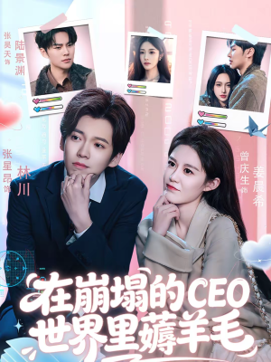 在崩塌的CEO世界里薅羊毛（70集）评价怎么样