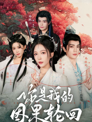 你是我的因果轮回（100集）看到了大结局