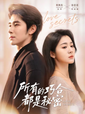 陆总夫人她只想离婚（80集）在线看完整版