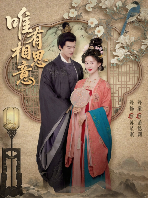 唯有相思意（100集）最热门短剧来了