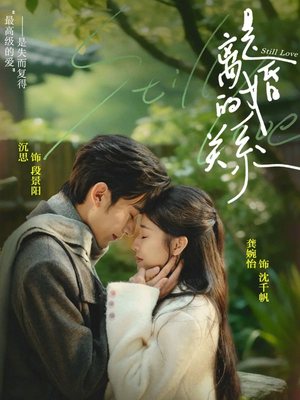 是离婚的关系（67集）短剧免费观看