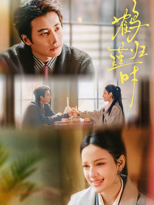 鹤归瑾时（81集）短剧介绍