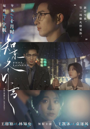 知京冬风雪（68集）短剧解说热门