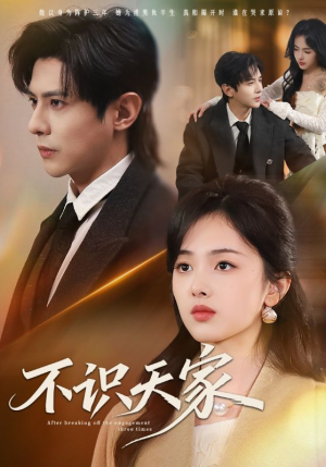 不识天家（69集）火爆短剧热播中