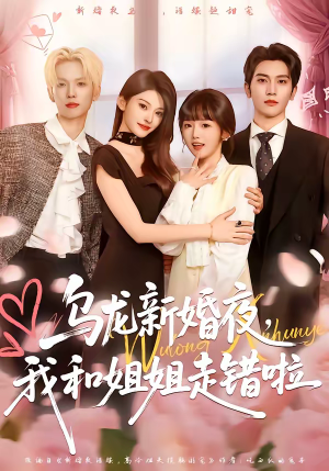 乌龙新婚夜，我和姐姐走错啦（59集）短剧太好看了吧