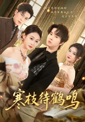 寒枝待鹤鸣（70集）热门短剧抢先看
