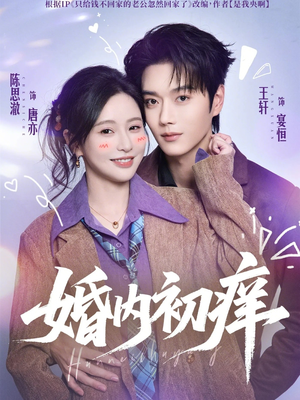 婚内初痒（100集）解说文案