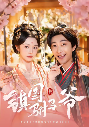 镇国驸马爷（92集）短剧每日分享