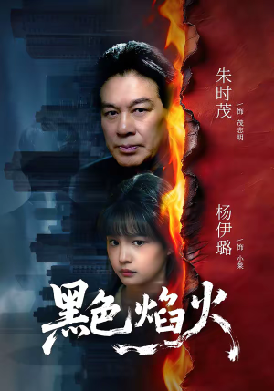黑色焰火（41集）百度网盘资源
