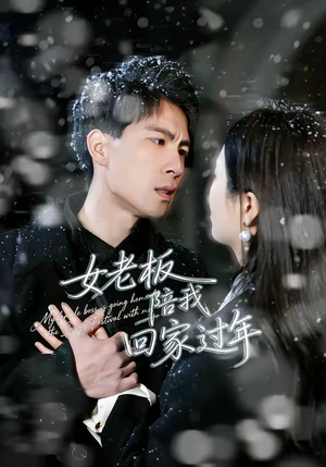 女老板陪我回家过年（40集）贝贝短剧分享