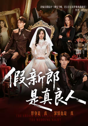 假新郎是真良人（67集）短剧热播抢先看