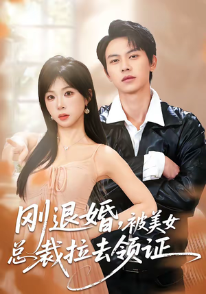 刚退婚，被美女总裁拉去领证（81集）最火的短剧