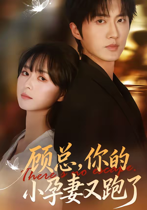 顾总，你的小孕妻又跑了（47集）短剧片段推荐