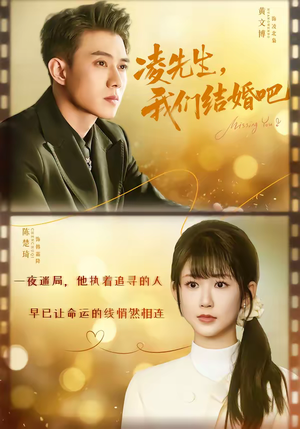 凌先生，我们结婚吧（68集）河马免费短剧