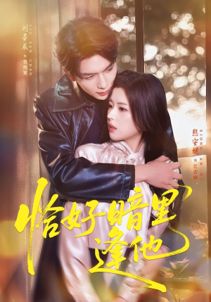 恰好暗里逢他（66集）分享好看的短剧