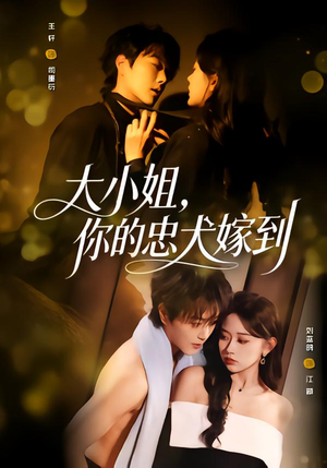 大小姐，你的忠犬嫁到（80集）火爆短剧来袭