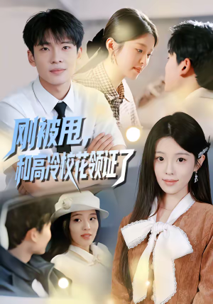 刚被甩，和高冷校花领证了（67集）精彩好看的短剧
