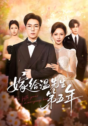 嫁给温先生第五年（60集）360网盘观看