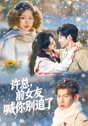 许总，前女友喊你别追了（80集）热播短剧追不停