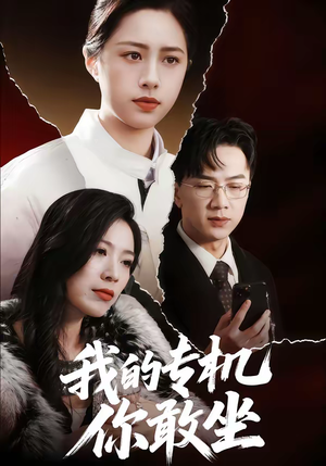 我的专机你敢坐（62集）全集免费