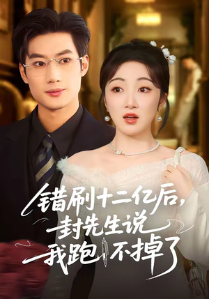 错刷十二亿后，封先生说我跑不掉了（100集）经典回顾免费看