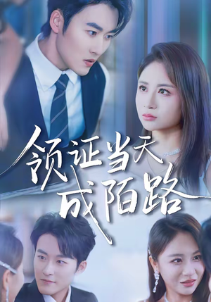 领证当天成陌路（39集）好看的短剧推荐